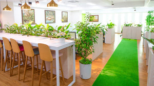 EcoWork Hub Meeting Room, Subic Bay Freeport Zone